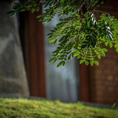 Victoria Golf Resort 디가나 외부 사진